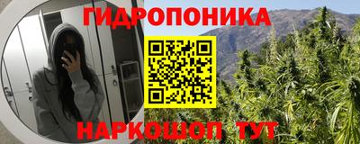 мяу мяу кристалл Камышлов